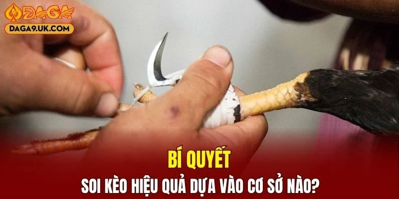 Áp dụng kinh nghiệm soi kèo hay ho