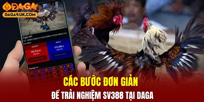 Các bước đơn giản để trải nghiệm SV388 tại DAGA