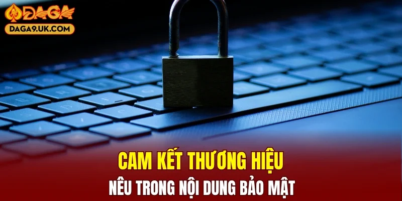 Cam kết bảo mật thông tin được nhà cái công khai
