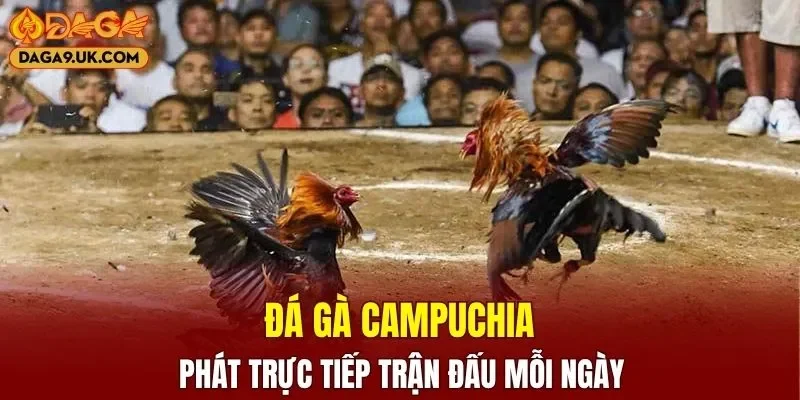Đá Gà Campuchia