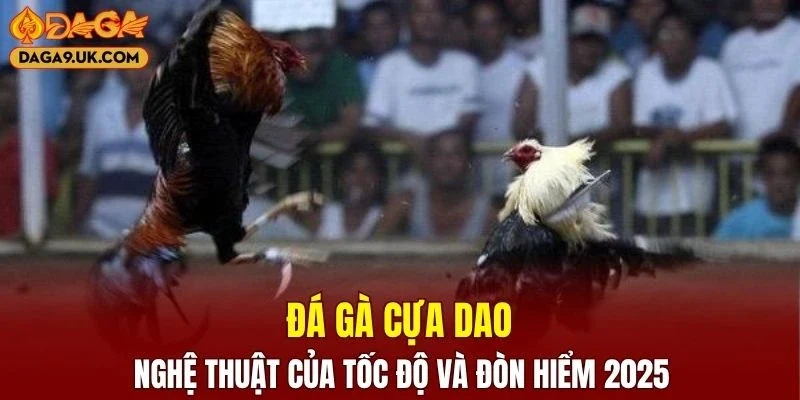Đá Gà Cựa Dao