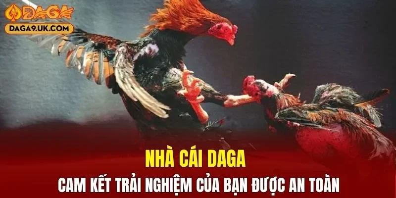 DAGA cam kết trải nghiệm của bạn được an toàn