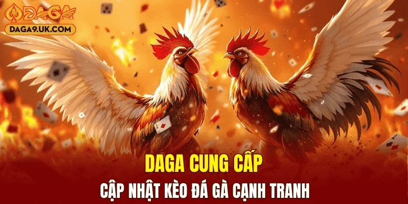 DAGA cung cấp, cập nhật kèo đá gà cạnh tranh