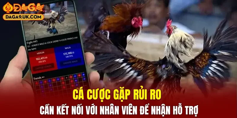 GẶp rủi ro cá cược kết nối với nhân viên hỗ trợ