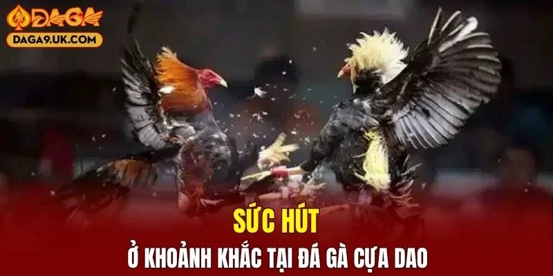 Hé lộ điểm độc đáo tại trận đấu 