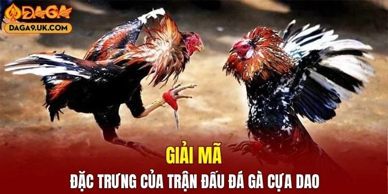 Tiêu chí chọn chiến binh được chia sẻ