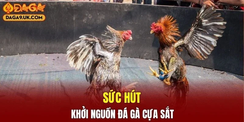 Tìm hiểu nguồn gốc của hình thức