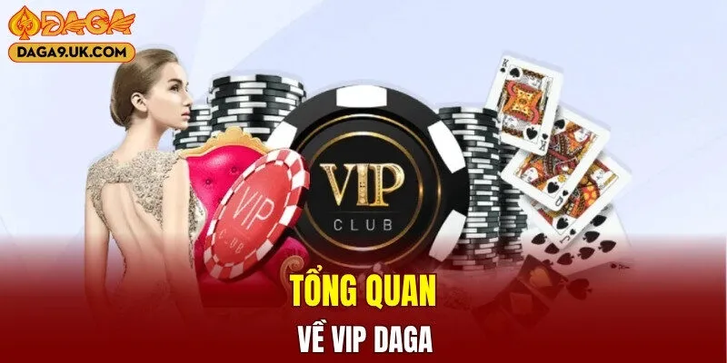 Tổng quan về VIP DAGA