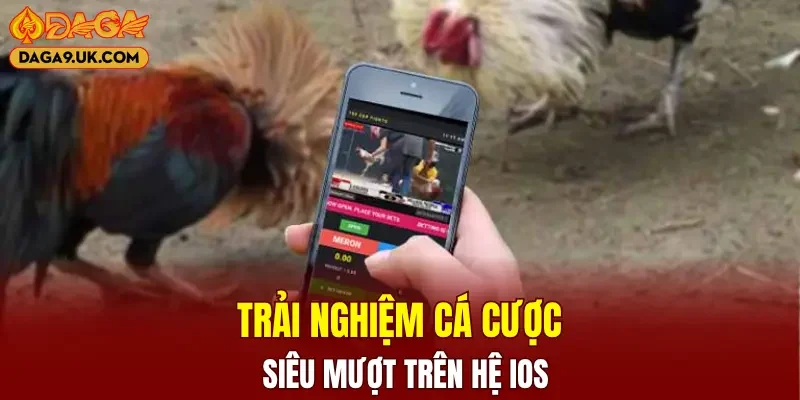 Trải nghiệm cá cược siêu mượt trên hệ iOS