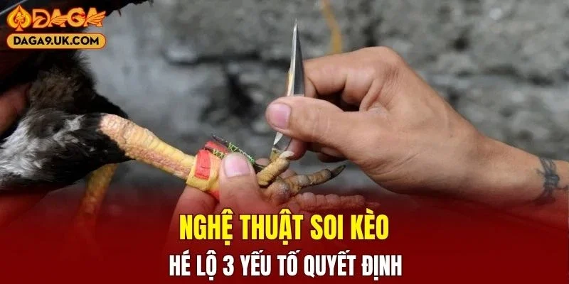 Vén màn nghệ thuật soi kèo quý giá